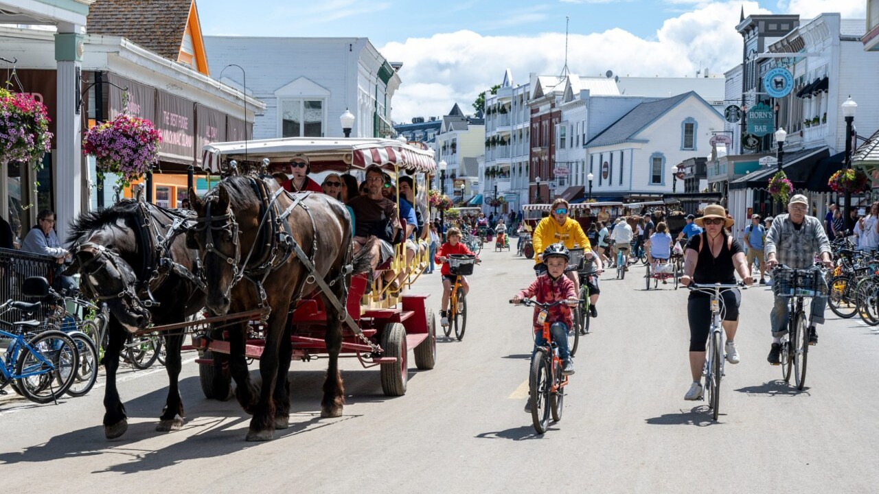 Group of Tourists experiencing two-wheeled four-wheeled carriage drawn by a single horse